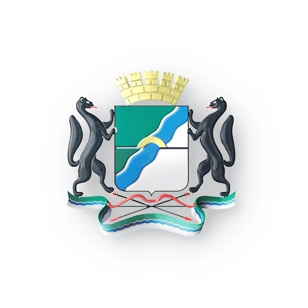 Правительство НСО